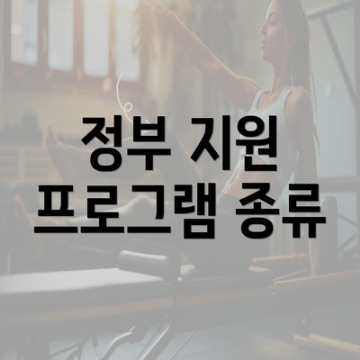 정부 지원 프로그램 종류