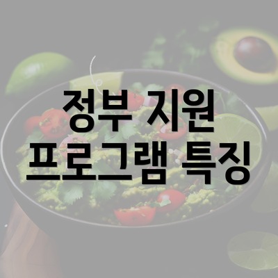 정부 지원 프로그램 특징