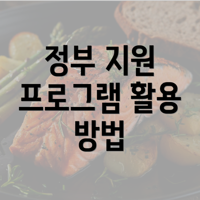 정부 지원 프로그램 활용 방법