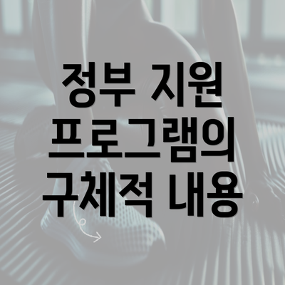 정부 지원 프로그램의 구체적 내용