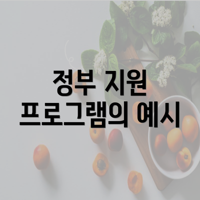 정부 지원 프로그램의 예시