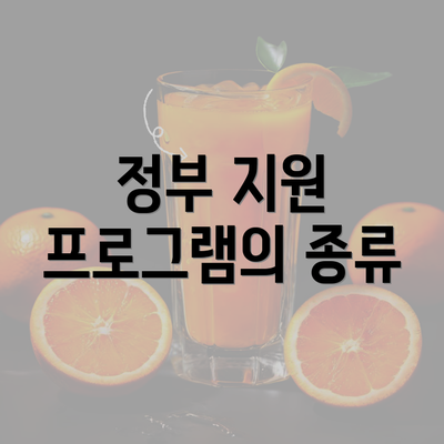 정부 지원 프로그램의 종류