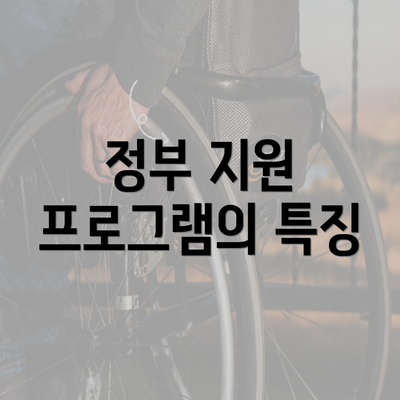 정부 지원 프로그램의 특징