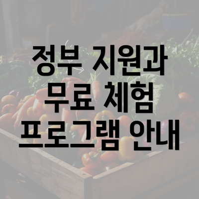 정부 지원과 무료 체험 프로그램 안내