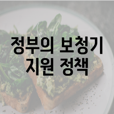 정부의 보청기 지원 정책