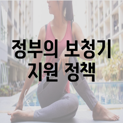 정부의 보청기 지원 정책