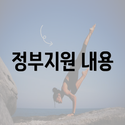 정부지원 내용