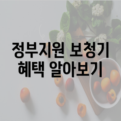 정부지원 보청기 혜택 알아보기