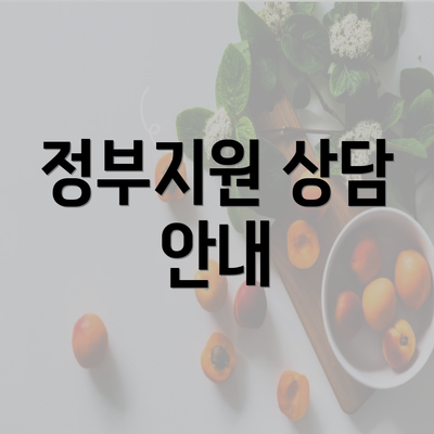 정부지원 상담 안내