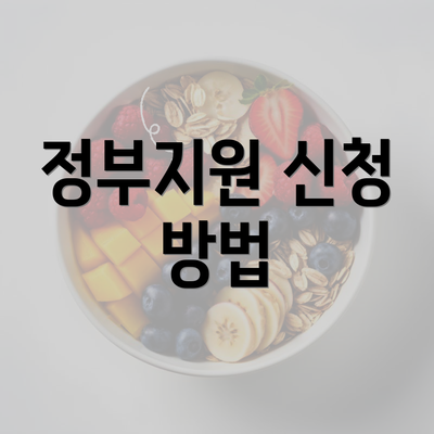 정부지원 신청 방법