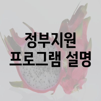 정부지원 프로그램 설명