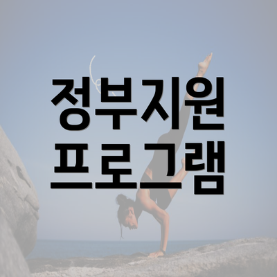 정부지원 프로그램