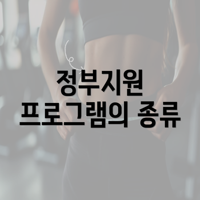 정부지원 프로그램의 종류