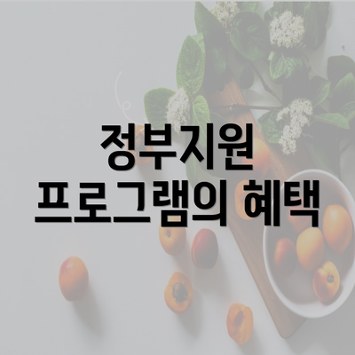 정부지원 프로그램의 혜택