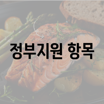 정부지원 항목