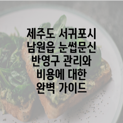 제주도 서귀포시 남원읍 눈썹문신 반영구 관리와 비용에 대한 완벽 가이드