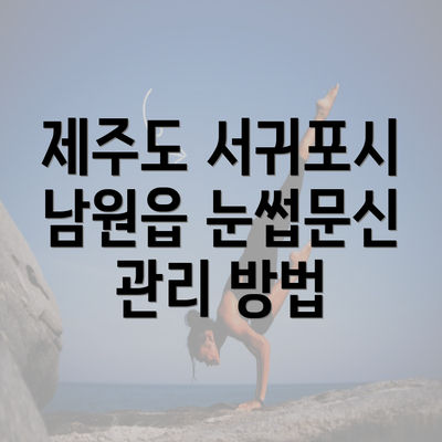 제주도 서귀포시 남원읍 눈썹문신 관리 방법