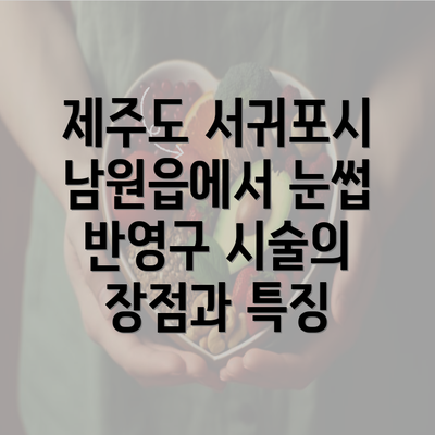 제주도 서귀포시 남원읍에서 눈썹 반영구 시술의 장점과 특징