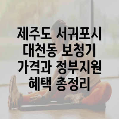 제주도 서귀포시 대천동 보청기 가격과 정부지원 혜택 총정리