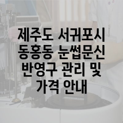 제주도 서귀포시 동홍동 눈썹문신 반영구 관리 및 가격 안내