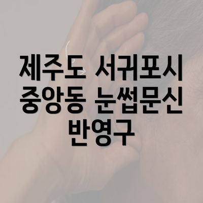 제주도 서귀포시 중앙동 눈썹문신 반영구