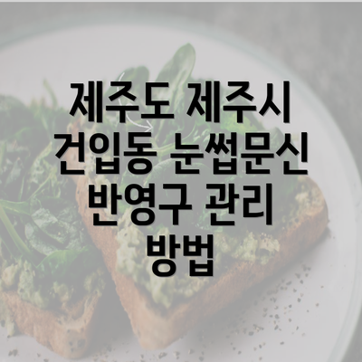 제주도 제주시 건입동 눈썹문신 반영구 관리 방법