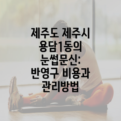 제주도 제주시 용담1동의 눈썹문신: 반영구 비용과 관리방법