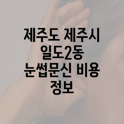 제주도 제주시 일도2동 눈썹문신 비용 정보