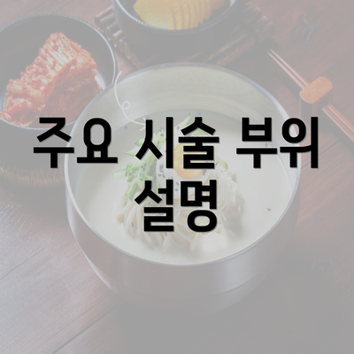 주요 시술 부위 설명