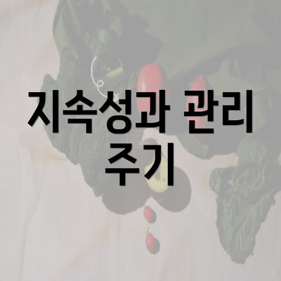 지속성과 관리 주기