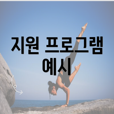 지원 프로그램 예시