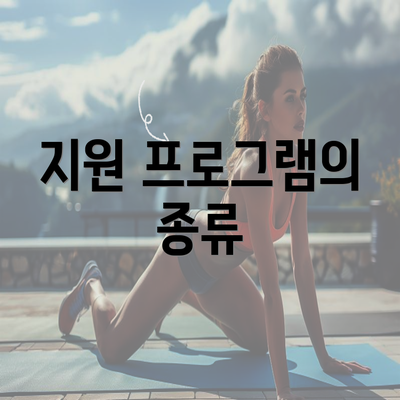 지원 프로그램의 종류