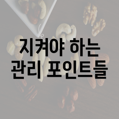 지켜야 하는 관리 포인트들