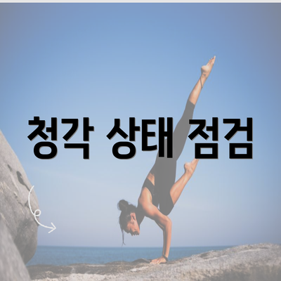 청각 상태 점검