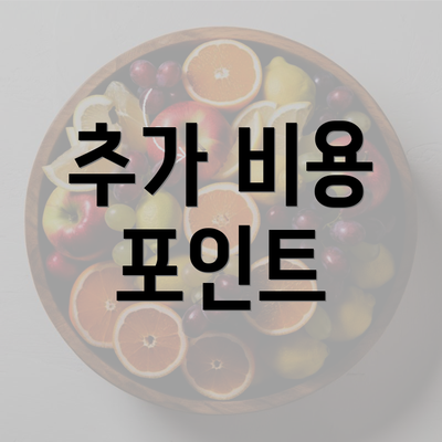 추가 비용 포인트