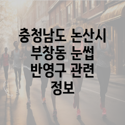 충청남도 논산시 부창동 눈썹 반영구 관련 정보