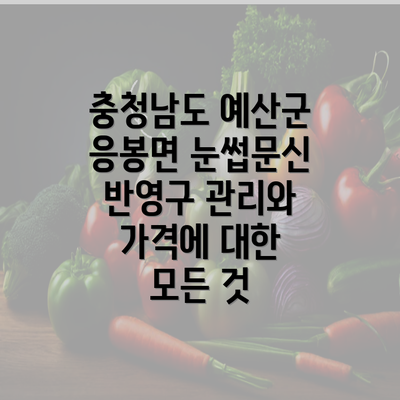 충청남도 예산군 응봉면 눈썹문신 반영구 관리와 가격에 대한 모든 것