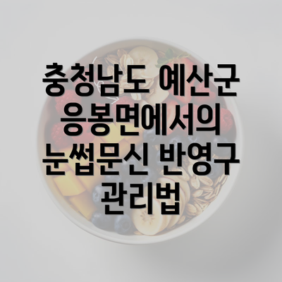 충청남도 예산군 응봉면에서의 눈썹문신 반영구 관리법