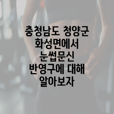 충청남도 청양군 화성면에서 눈썹문신 반영구에 대해 알아보자