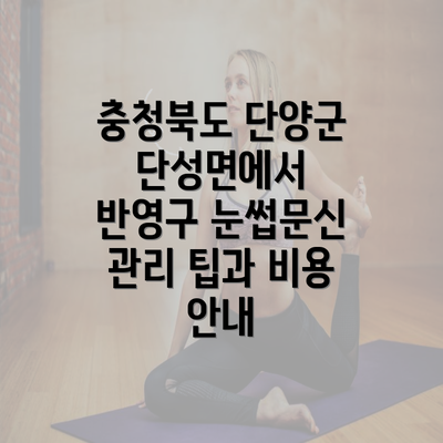 충청북도 단양군 단성면에서 반영구 눈썹문신 관리 팁과 비용 안내