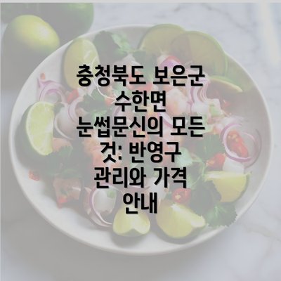 충청북도 보은군 수한면 눈썹문신의 모든 것: 반영구 관리와 가격 안내