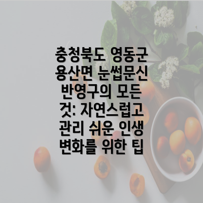 충청북도 영동군 용산면 눈썹문신 반영구의 모든 것: 자연스럽고 관리 쉬운 인생 변화를 위한 팁