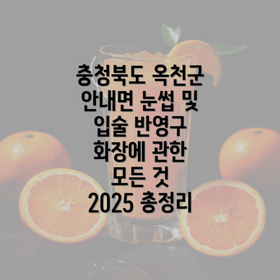 충청북도 옥천군 안내면 눈썹 및 입술 반영구 화장에 관한 모든 것 2025 총정리