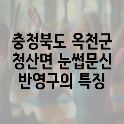 충청북도 옥천군 청산면 눈썹문신 반영구의 특징