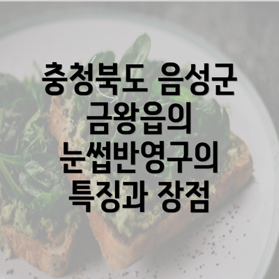 충청북도 음성군 금왕읍의 눈썹반영구의 특징과 장점