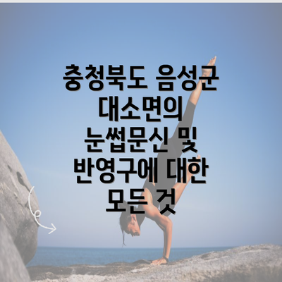 충청북도 음성군 대소면의 눈썹문신 및 반영구에 대한 모든 것