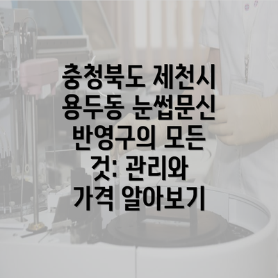 충청북도 제천시 용두동 눈썹문신 반영구의 모든 것: 관리와 가격 알아보기