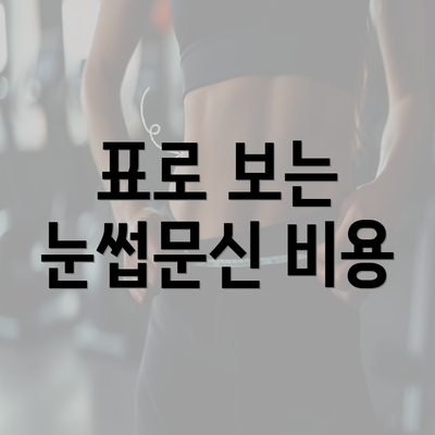 표로 보는 눈썹문신 비용