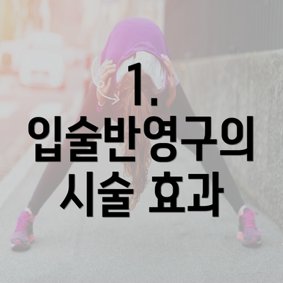 1. 입술반영구의 시술 효과