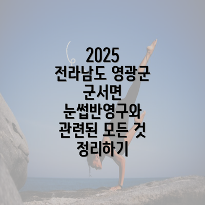 2025 전라남도 영광군 군서면 눈썹반영구와 관련된 모든 것 정리하기